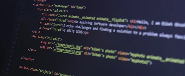 Desarrollo de sitio web